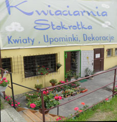 an image